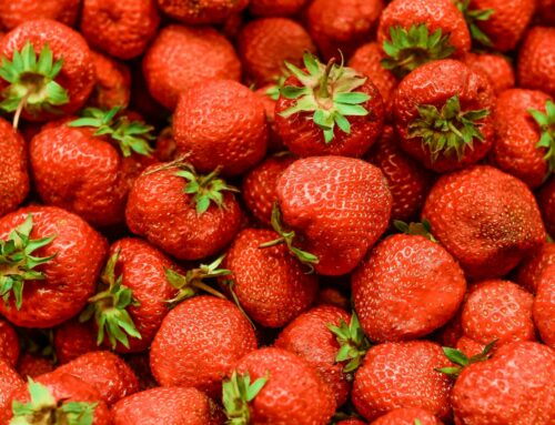 Sweet, Simple, and In Season: Making the Most of National Strawberry Month